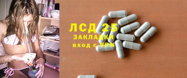 стаф Аркадак
