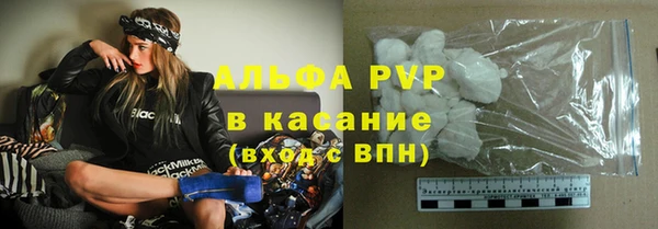 стаф Аркадак